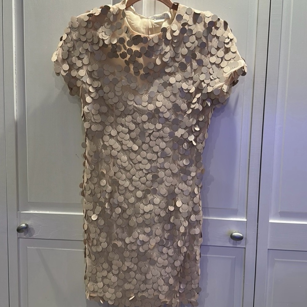NWT | Collective the Label Disc Sequin Champagne Mini Dress - Picture 6 of 10